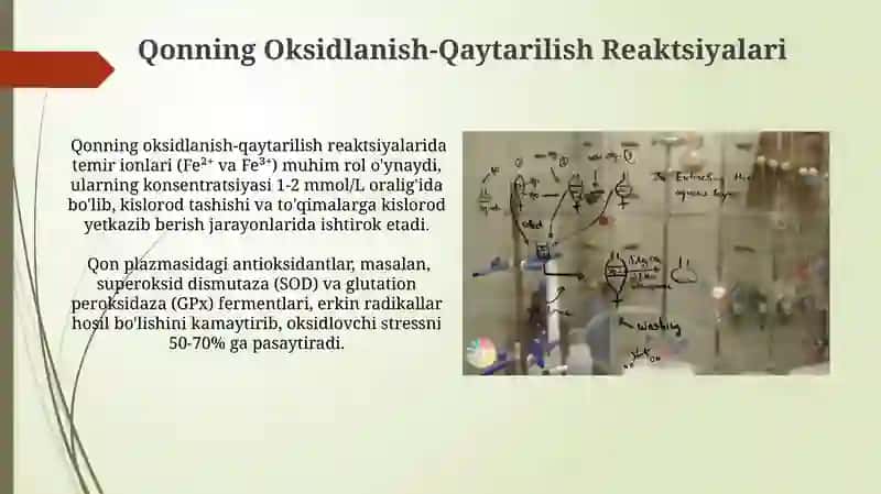 Qonning kimyoviy xususiyatlari 4