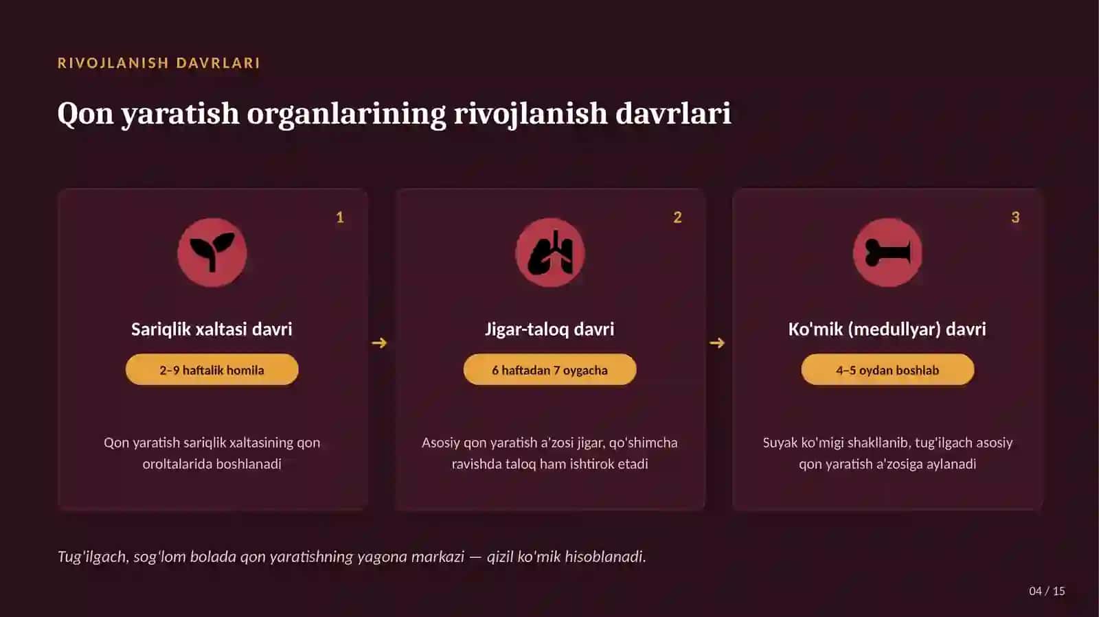 Bolalarda Qon Yaratish Tizimining Anatomo-Fiziologik Xususiyatlari | 15 Slaydli Tibbiy Taqdimot 4