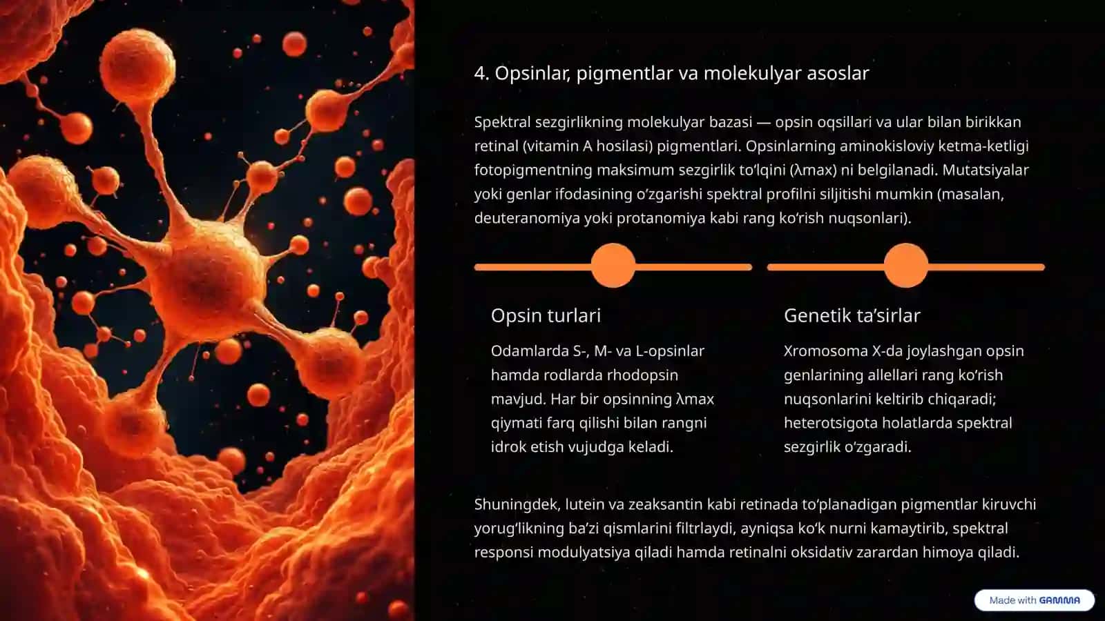 Ko‘z-optik sistema: Ko‘zning spektral sezgirligi 4