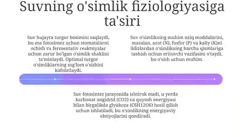 O'simliklarni namlash 4