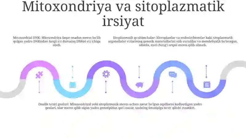 Sitoplazmatik Irsiylanishning Molekulyar Asoslar 4