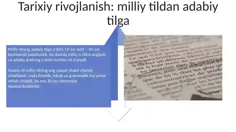 Milliy til va adabiy til munosabatlari 4