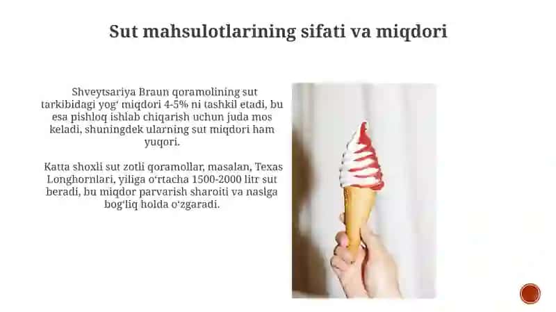 Yirik shoxli qoramollarning sut yoʻnalishidagi zotlari 4