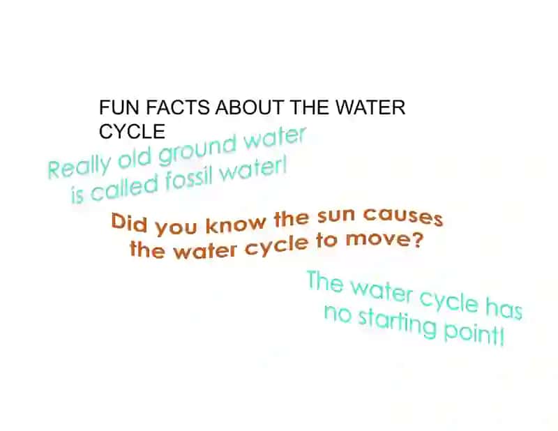 THE WATER CYCLE 4