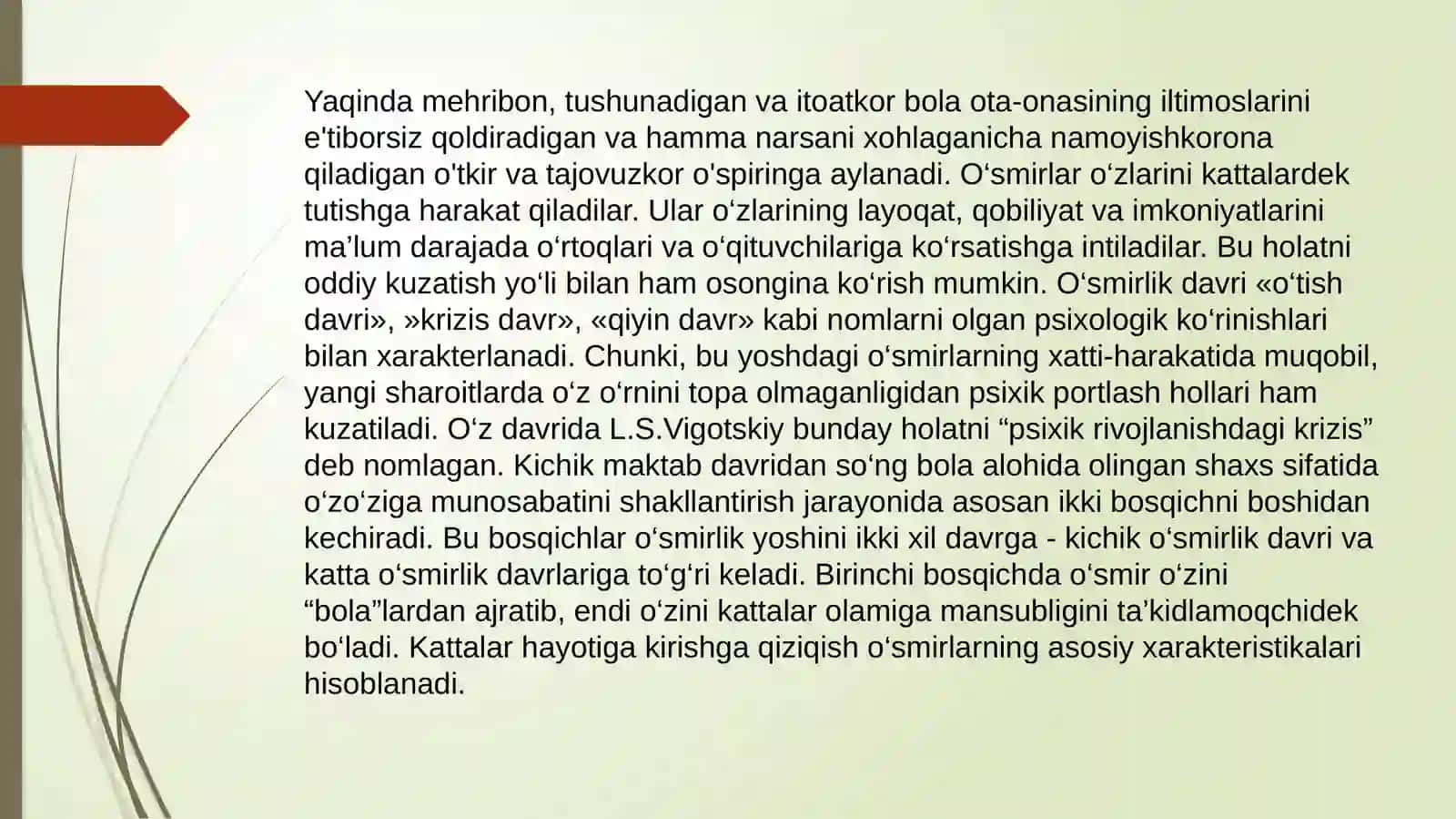 O'smirlik davri intellektual va emotsional rivojlanish xususiyatlari 4