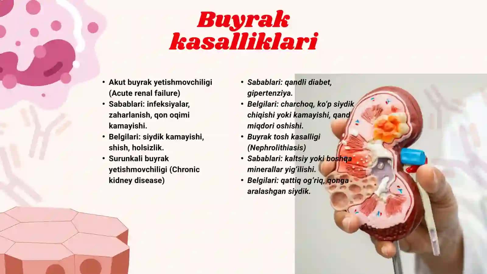 Siydik ayirish a'zolarining kasalliklari 4