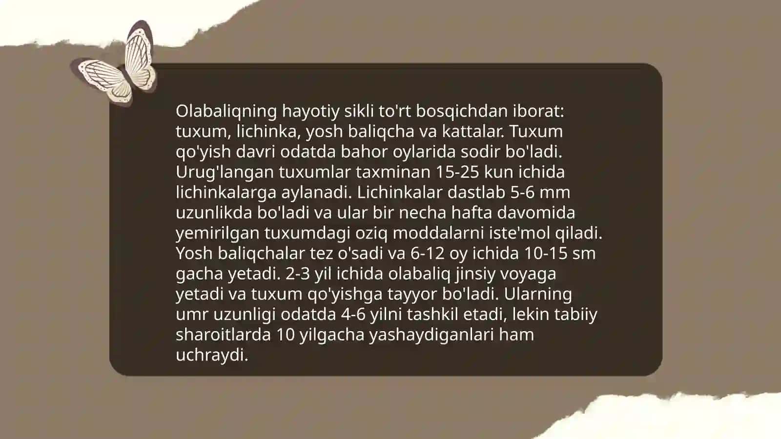Olabaliq turlari 4