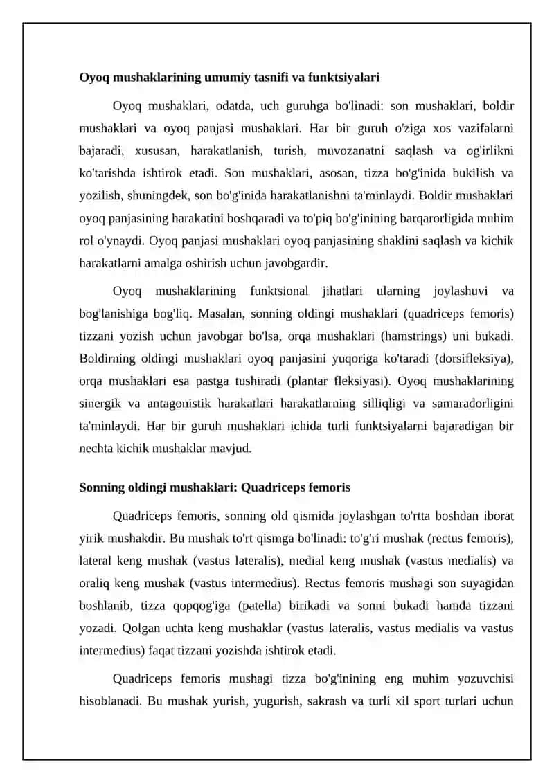 Oyoq mushaklarining anatomiyasi 4