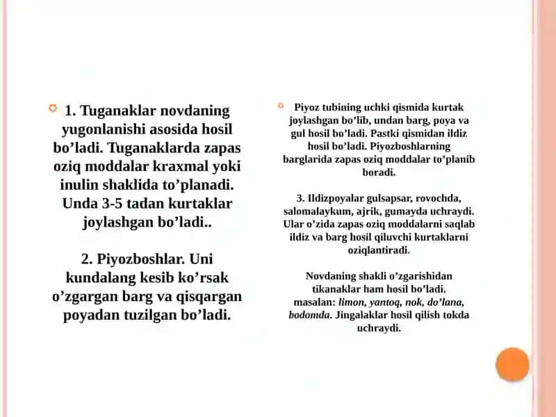 Novda Metamorfozi va Uninf Morfologik va Anatomik Tuzilishi va Ildiz 4