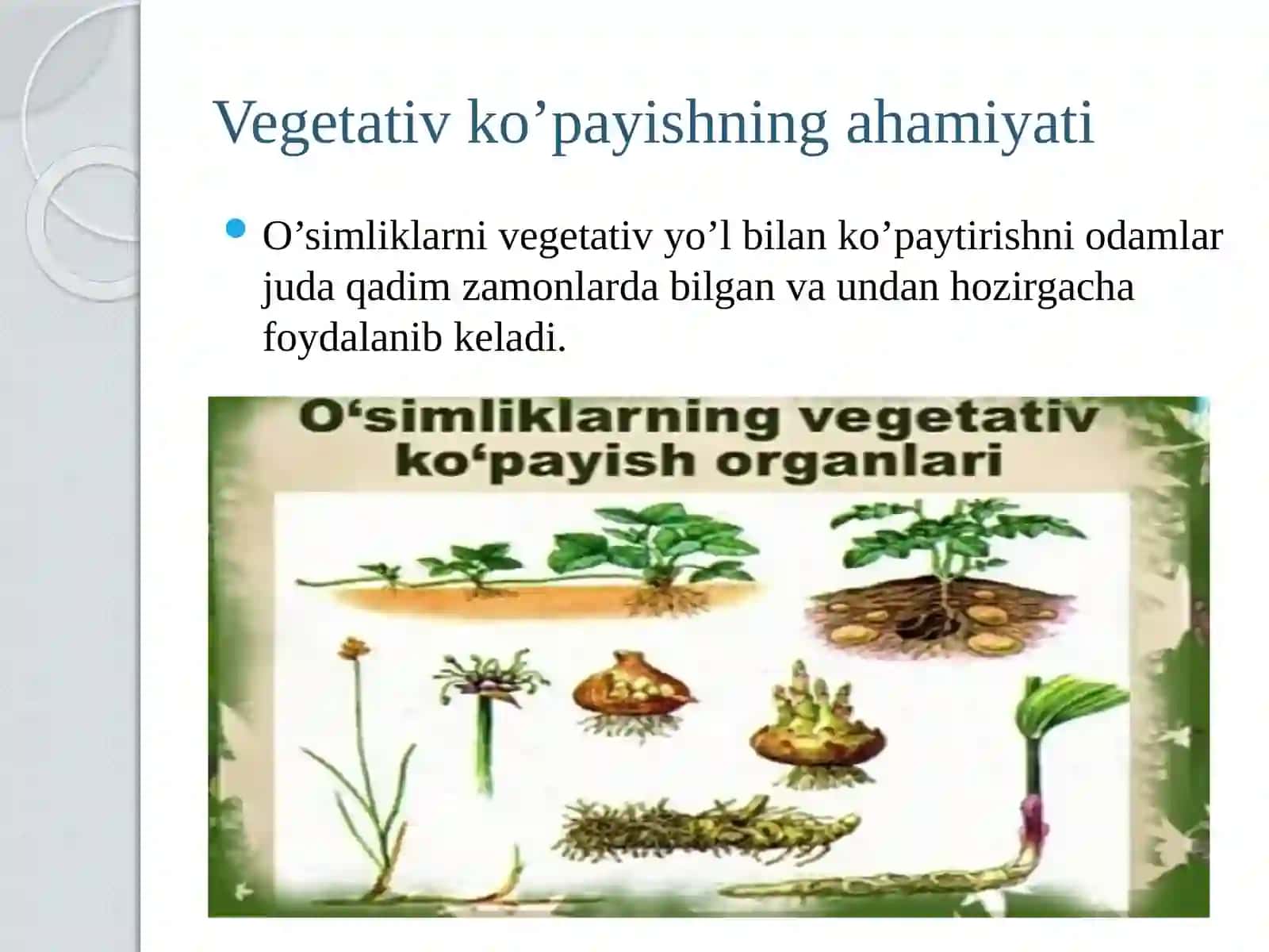 Parxishvapayvandlash. Vegetativko’payishningo’simlikvainson hayotidagiahamiyati 4