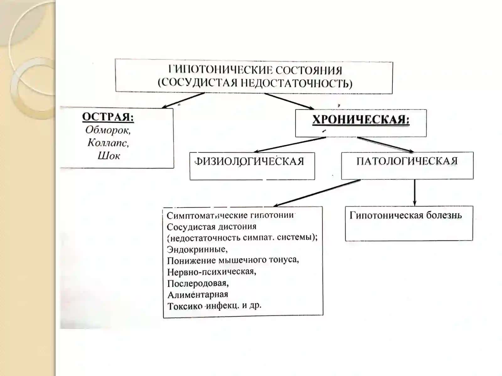 ТошПТИ Патологик физиологияси кафедраси 4