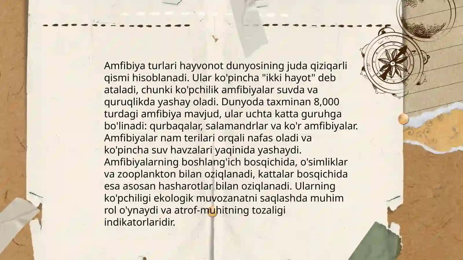Oʻzbekiston qizil kitobiga kiritilgan suv hayvonlari turlari 4