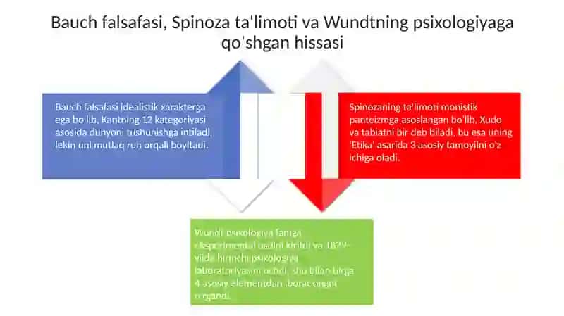 Bauch, Spinoza, Vundt va Assotsiativ nazariyaning profilaktik nazariyaga ta'siri 4