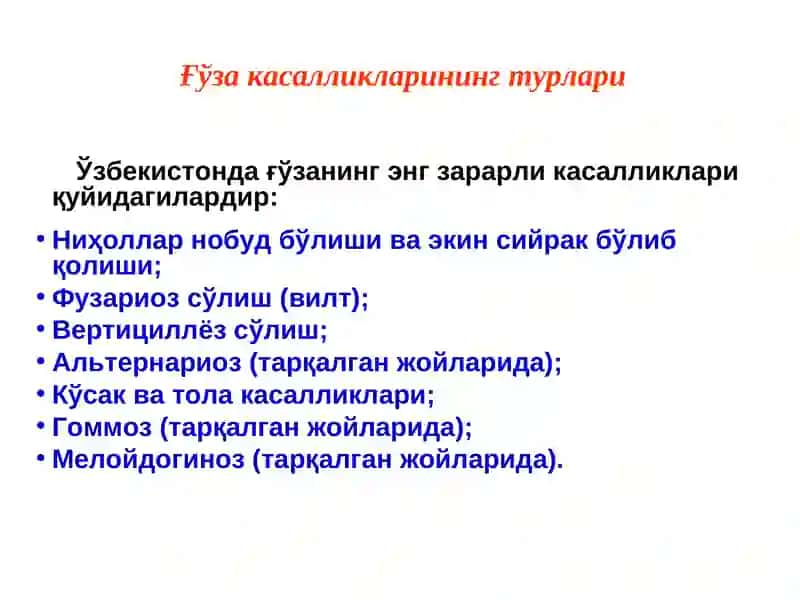 ҒЎЗА КАСАЛЛИКЛАРИ ВА УЛАРГА ҚАРШИ КУРАШ ЧОРАЛАРИ 4