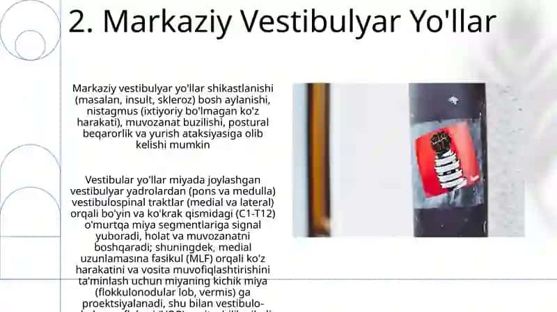 Vestibulyar analizator 4