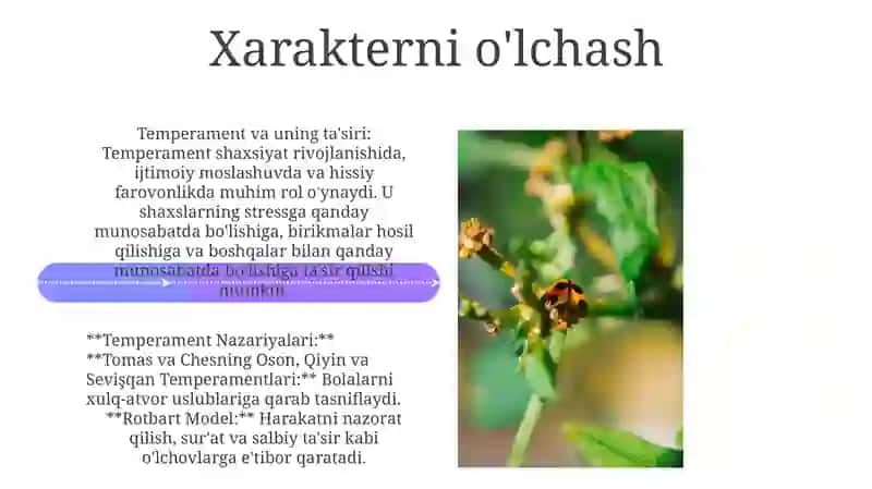 Temperament va uning nazariyalari 4