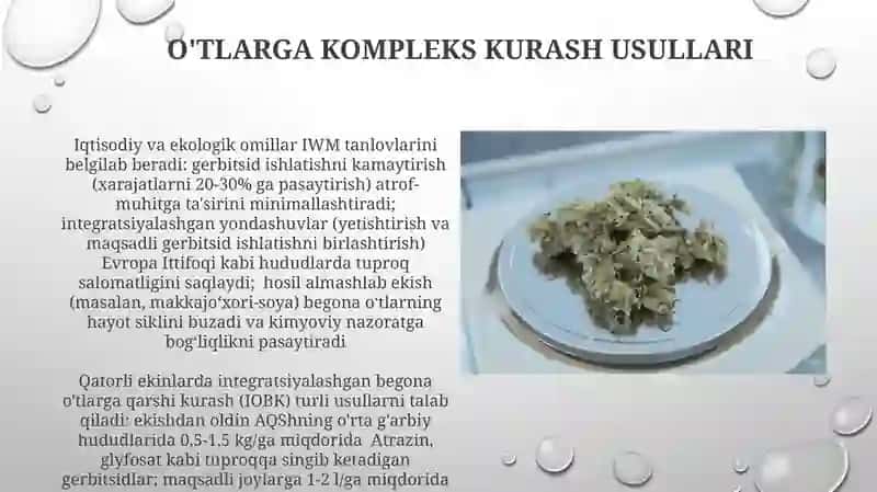 Gerbitsid qo'llash texnikalari 4