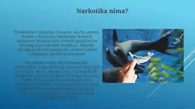 Narxning mazmuni, uning ob’ektiv asoslari, vazifalari va turlari 4