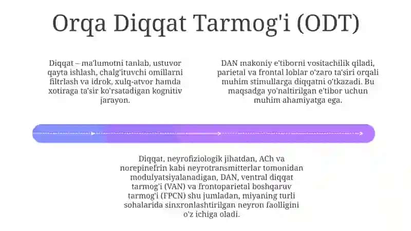 Diqqat haqida tushuncha va uning nerv fiziologik asoslari 4