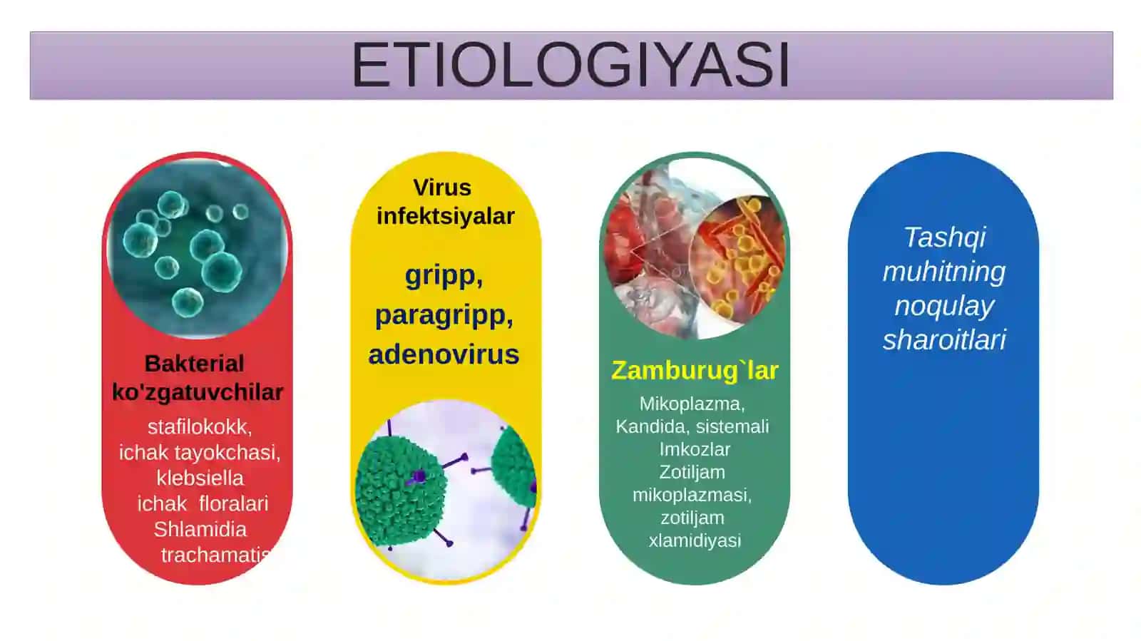 Zotiljam pnevmoniya haqida 4