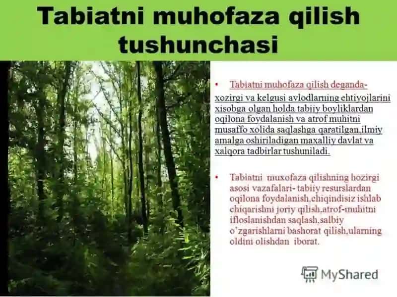 ,,O’zbekistonning muhofazaga olingan hududlari” 4