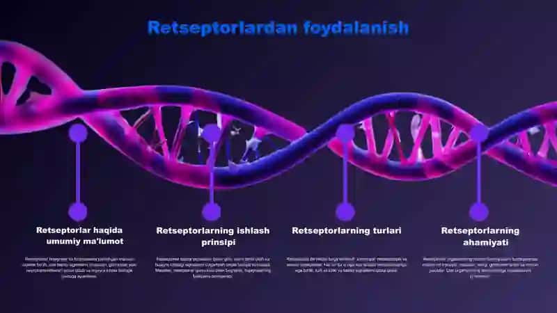 Retseptsiya, retseptor hujayralar, tuzilishi va faoliyatlari. 4