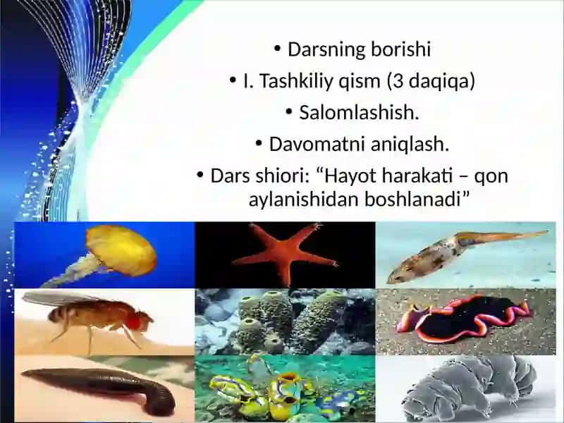 Umurtqasizlarning qon aylanish tizimi. Dars ishlanma 4