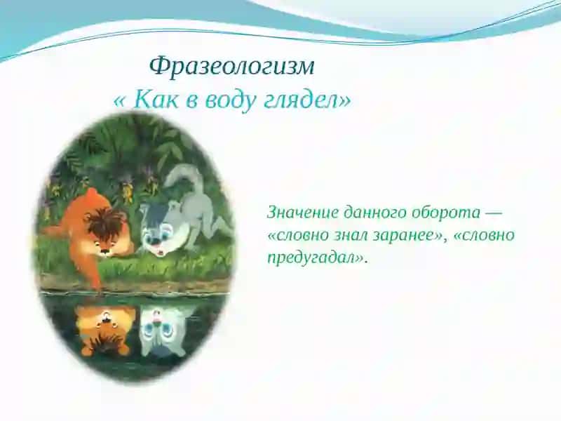 Учебник для 11 классов по Русскому языку 4