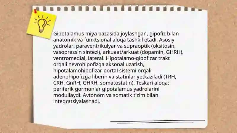 Neyroendikrin tizimning struktur funksional tavsifi 4