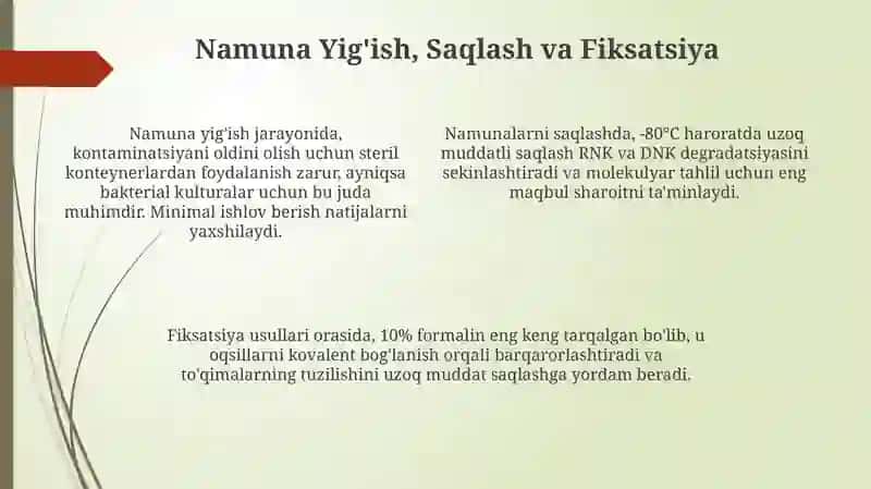 Vaqtinchalik va Doimiy Preparatlar: Umumiy Ko'rinish 4