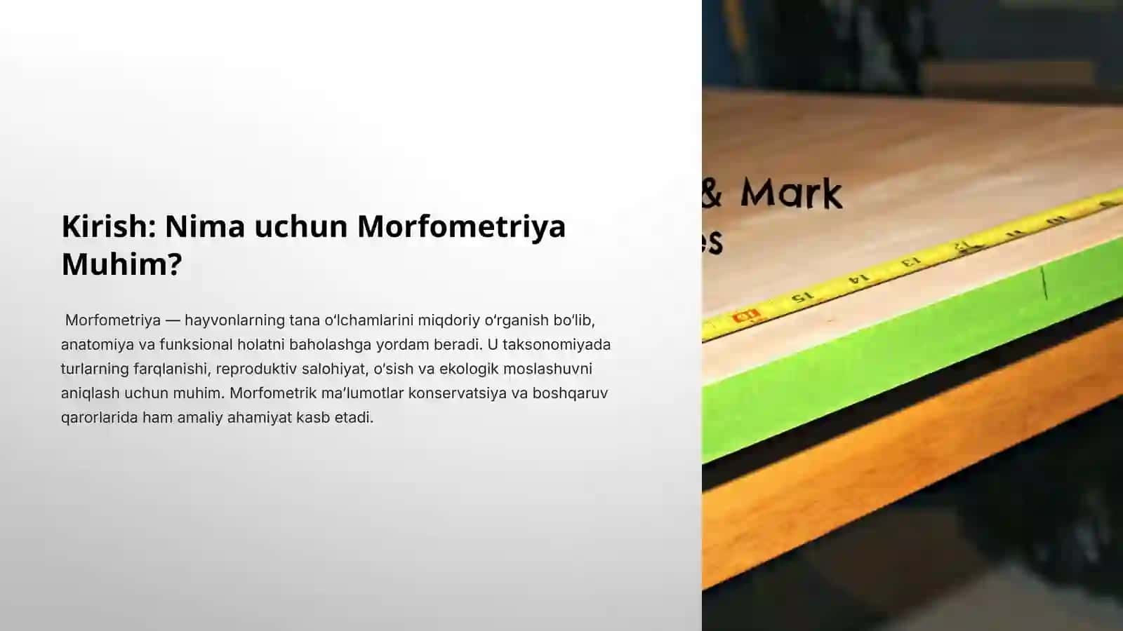 Hayvonlarning morfometrik belgilarini o'lchash usullari va ta'siri 4