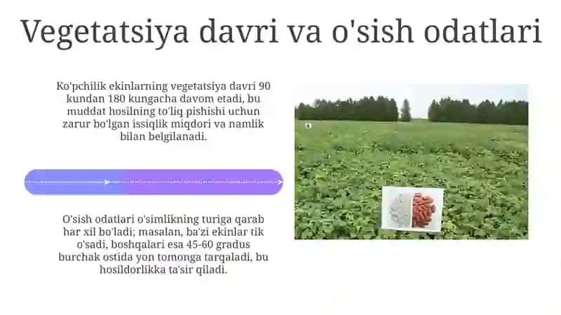 Polizekinlarining morfologik va biologik xususiyatlari 4