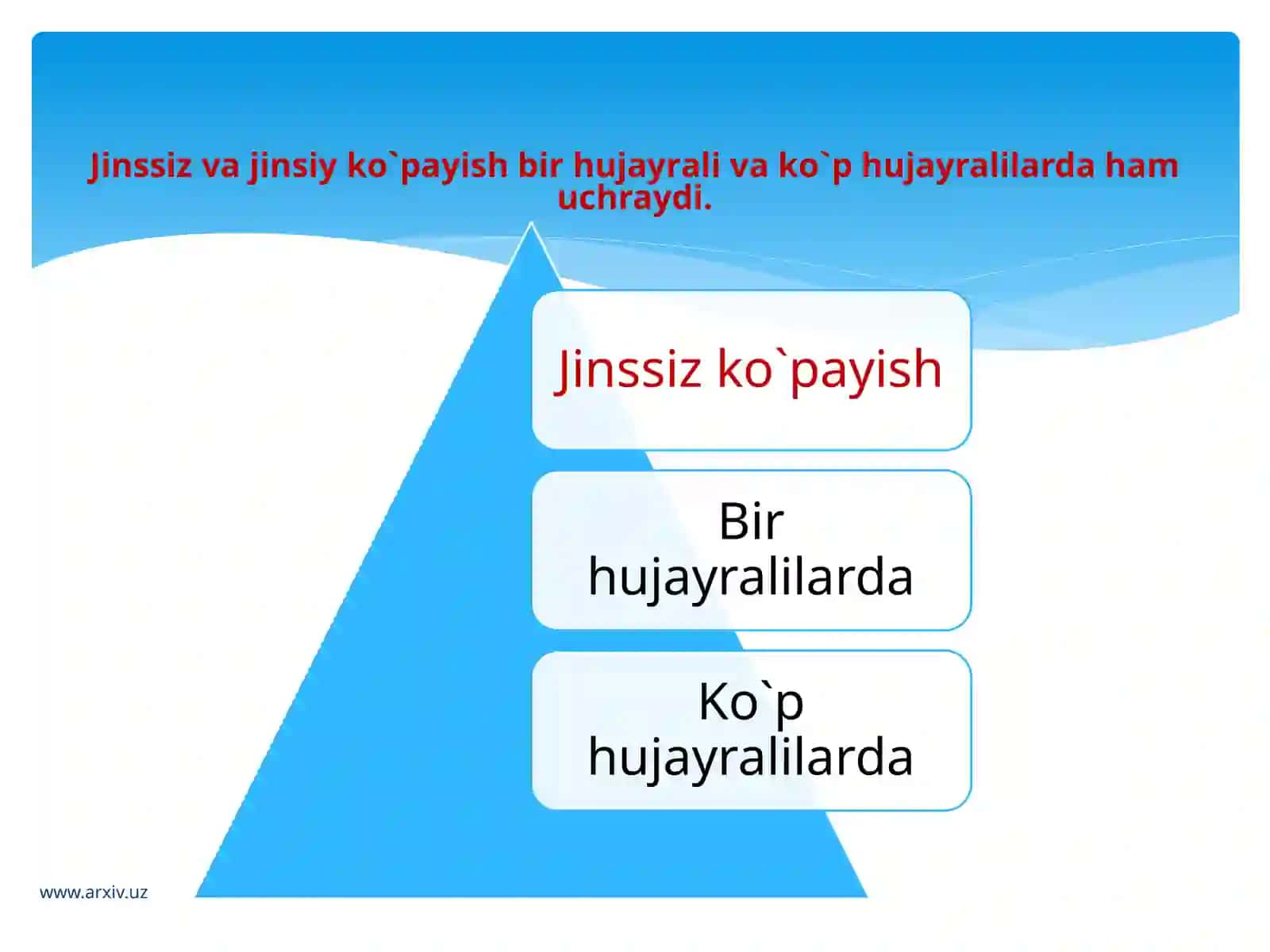 Organizmlarning jinssiz ko`payishi 4