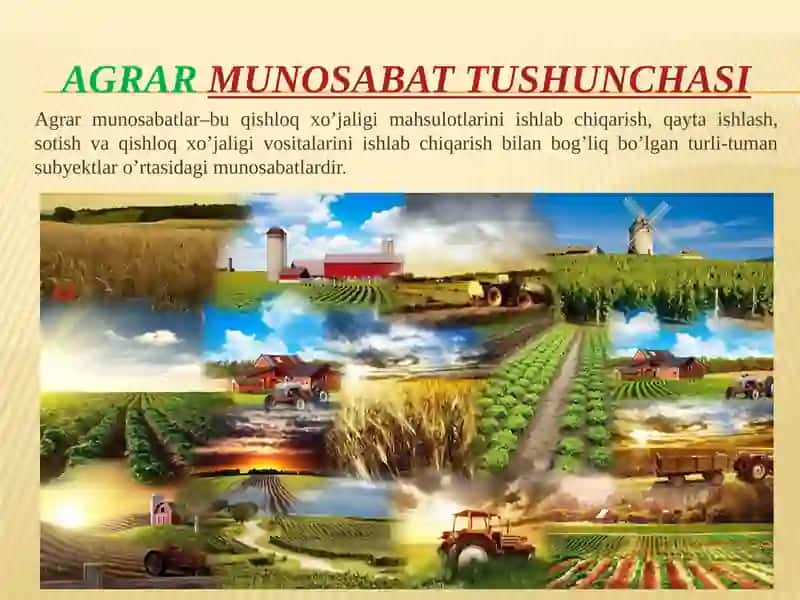 AGRAR MUNOSABATLAR VA ULARNI BOZOR TIZIMIDAGIXUSUSIYATLARI 4