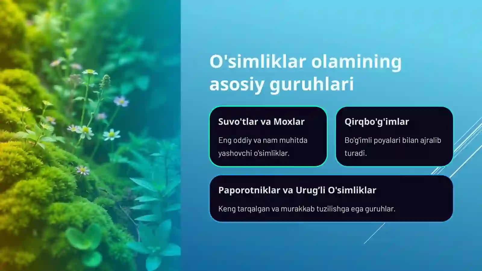 O'simliklarning xilma-xilligi va sporali o'simliklarni o'rganamiz 4