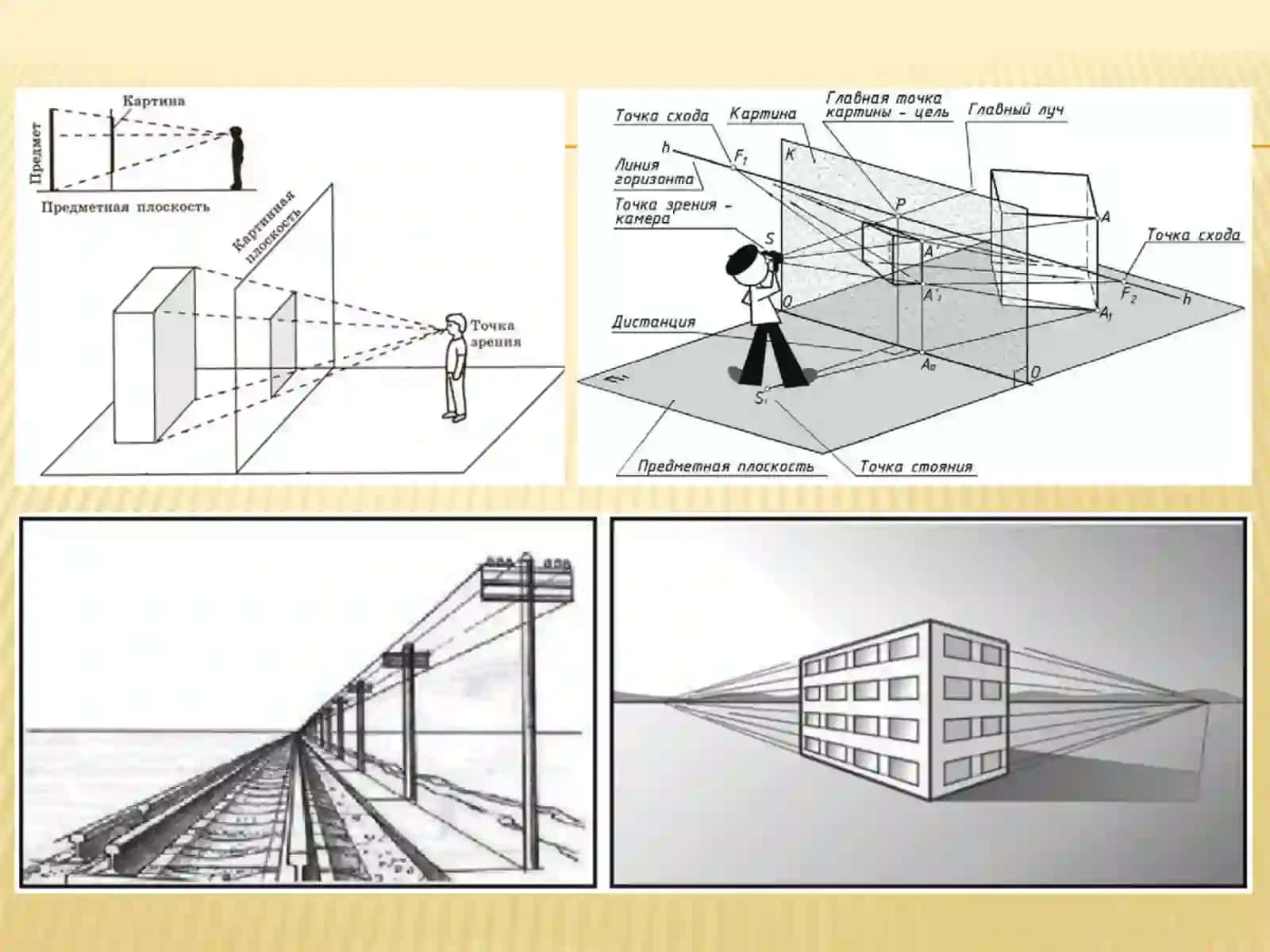 Markaziy va parallel proyeksiyalash 4