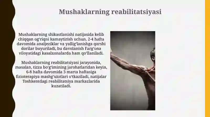 Muskullar haqida umumiy tushuncha 4