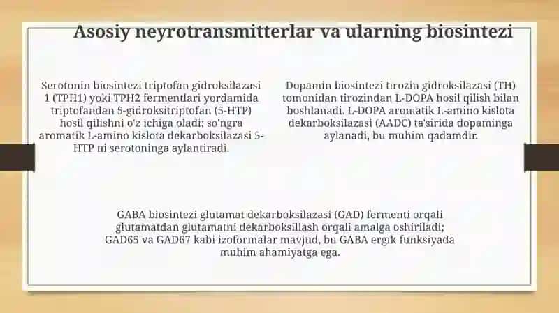Neyrotransmitter biosintezi: ahamiyati, bosqichlari va tartibga solish 4