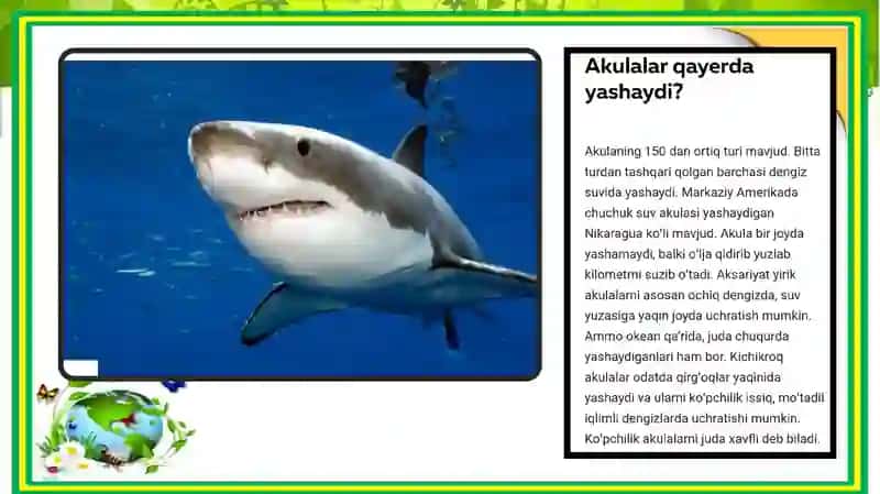 Baliqlar (Pisces) Katta Sinfi 4