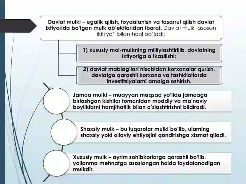 MULKNI DAVLAT TASARRUFIDAN CHIQARISH, XUSUSIYLASHTIRISH 4