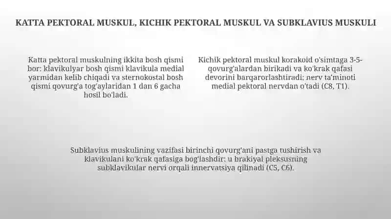 Ko'krak muskullari.yuzaki va chuqur. Diafragma 4