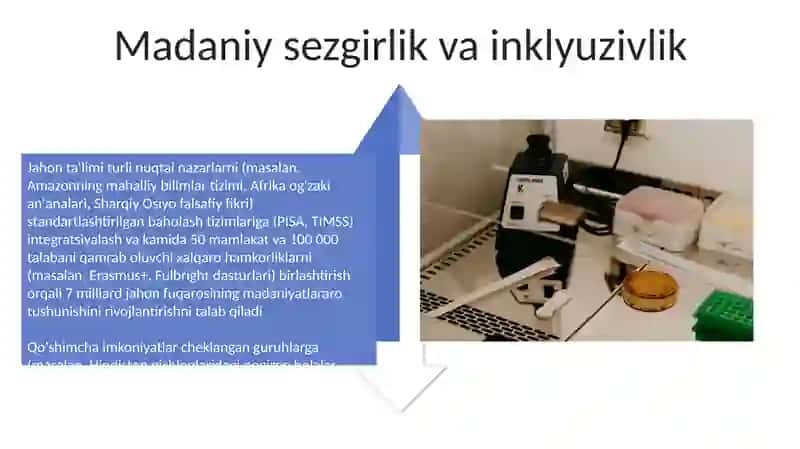Jahon mamlakatlari talim tizimi integratsiyalashuvi 4