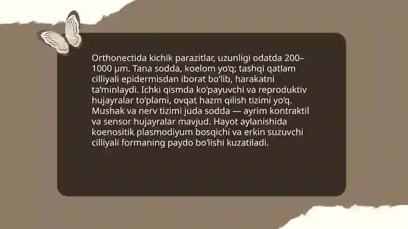 Mezazoa orthonectida va Dicyemida 4