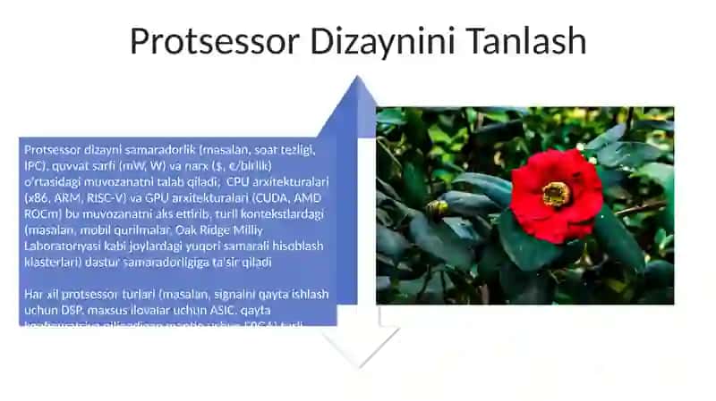 Protsessor Nima uchun mo'ljallangan 4
