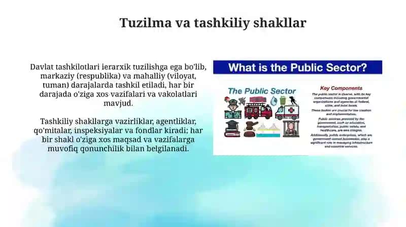 Davlat tashkilotlarining mohiyati va tuzilishi 4