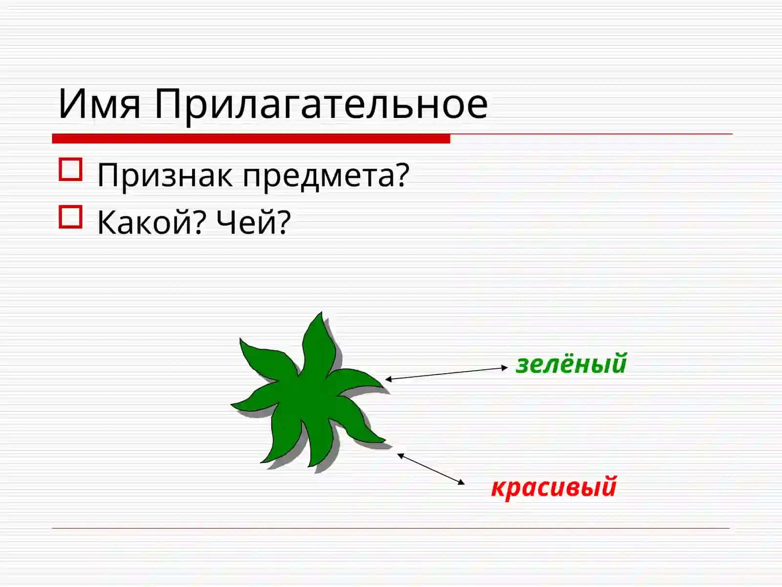 Морфология 4