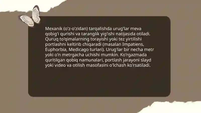 Mevalarni mexanik va biologik tarqatish usullariga qarab guruhlash va ko'rgazma qilish 4