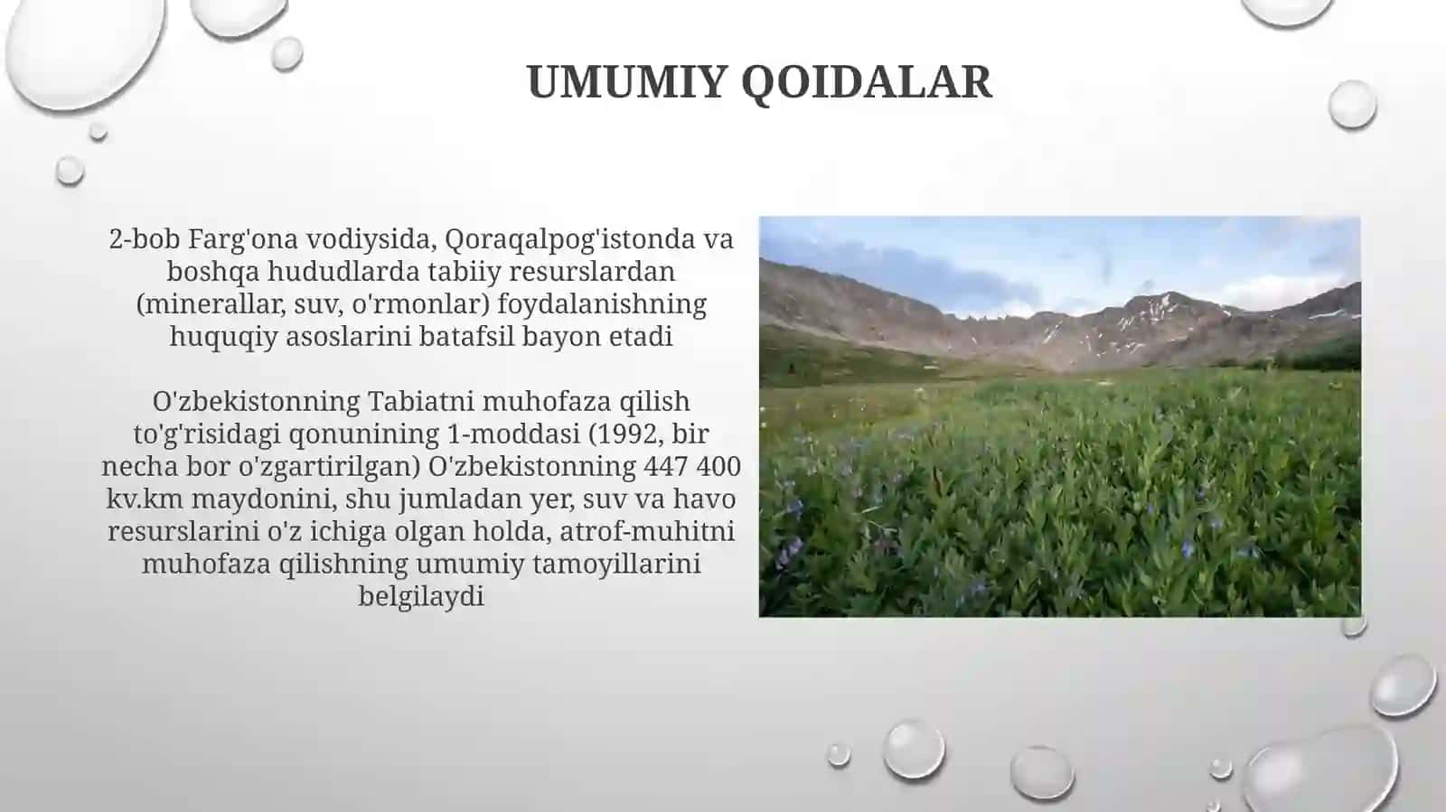 O'zbekiston Respublikasining Tabiatni muxofaza qilish to'g-risidagi qonuni 4