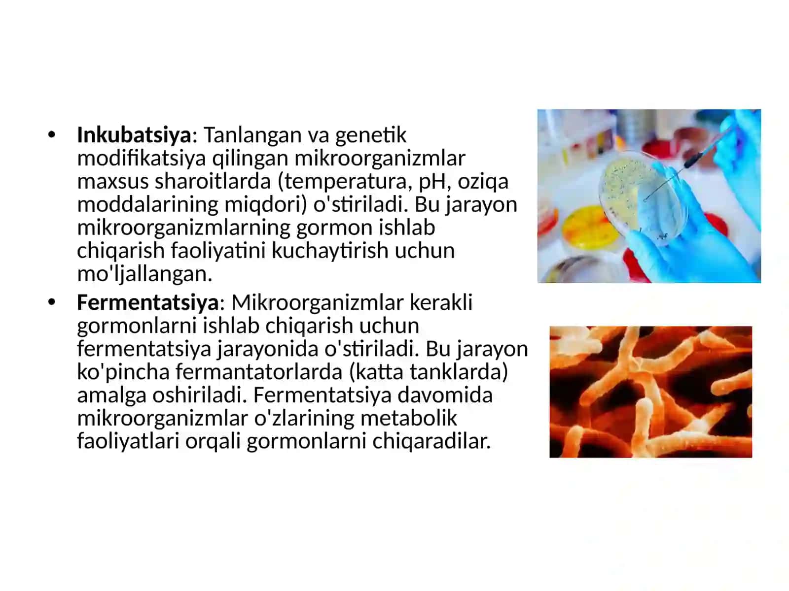Mikroorganizmlardan gormonlarni ajratibolishvaularnitahlilqilishusullari 4