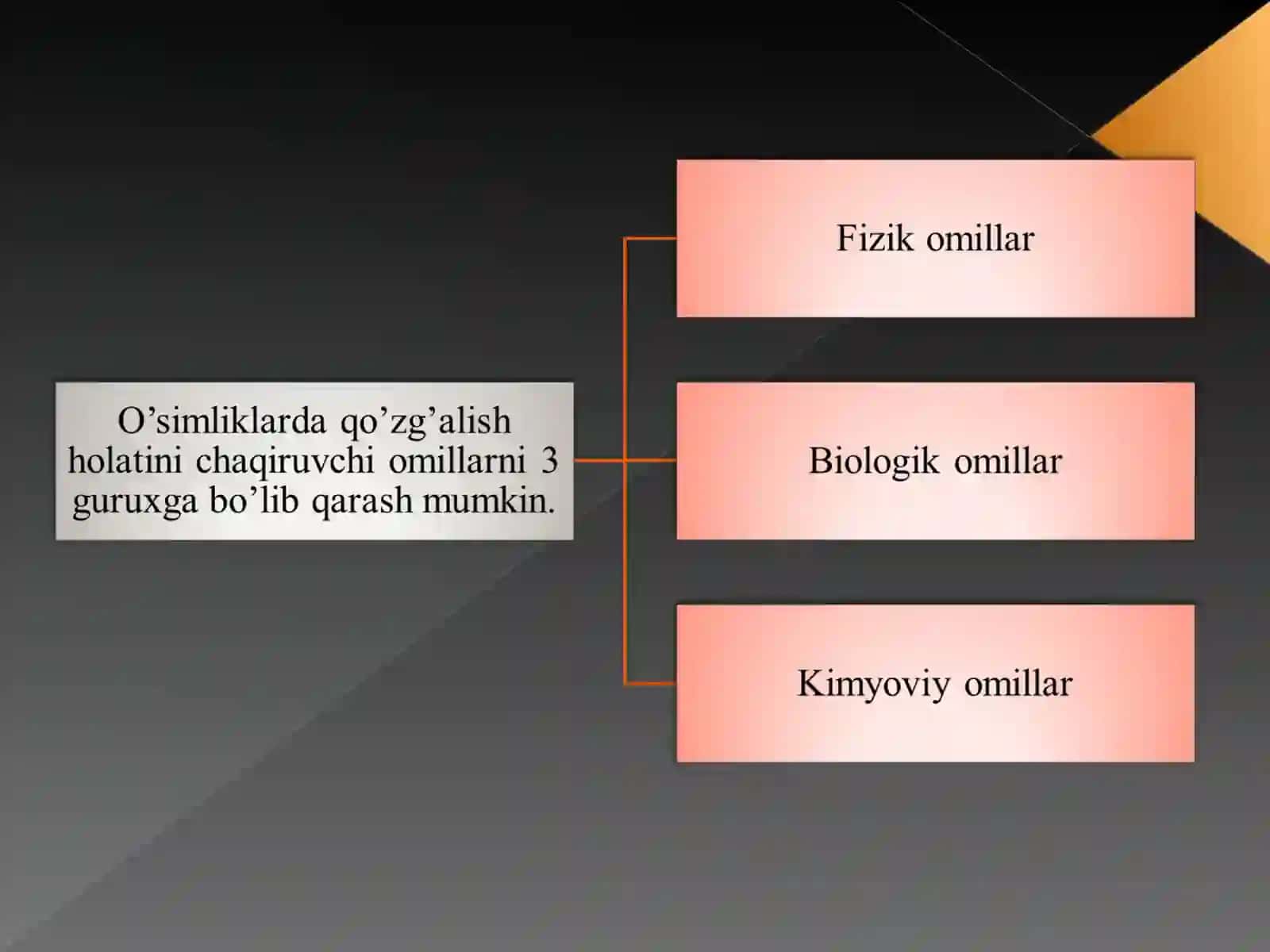 O'simliklarning Fiziologiyasi 4